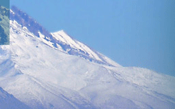 kayseri nin iklim ve bitki ortusu